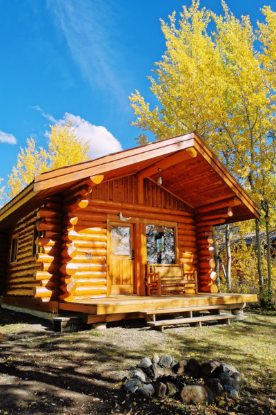 Walker's log cabin