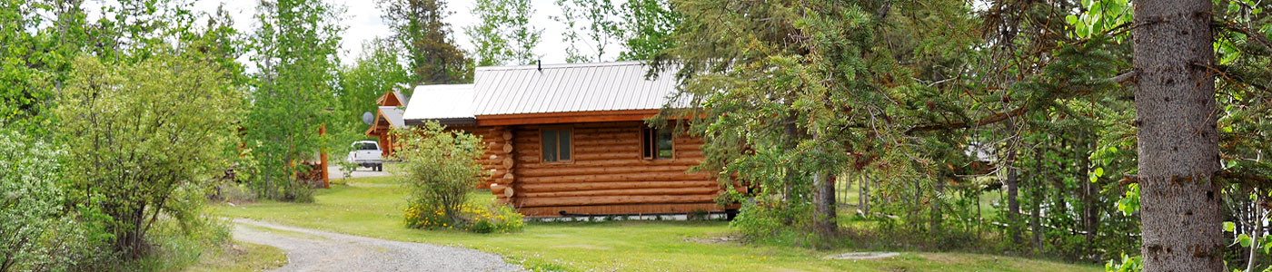 Photo of several cabins just seen among the trees and green brush.