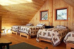 Several beds in loft