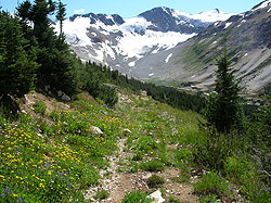 Photo courtesy of Bill and Anita Miller. A peak rears up before a hill with a path on the side of it with flowers.