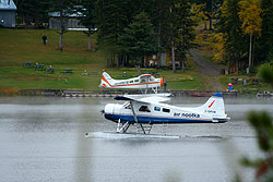 A Beaver floatplane on the water passes an orange and white Beaver moored to a dock.
