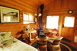 Living room with stove, table and seating