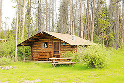 Cabin five sits among the trees