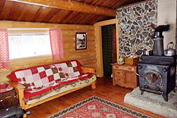 Living area with wood stove