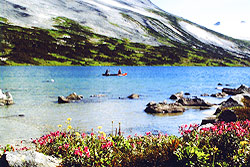 Photo property of Mary Kirner. Two people out in a canoe with wildflowers in front and rimrock behind.