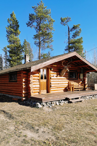 Cabin 11